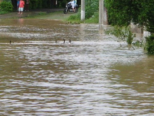 Sobe para 41 número de municípios mineiros em situação de emergência foto 021
